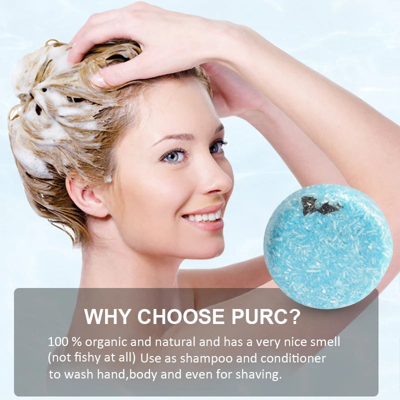 PURC-Shampoing en Polygonum pour Cheveux Gris et Blanc, Barre de Traitement du Cuir oral elu, au Charbon de Bambou de Regina, Solide, 60g