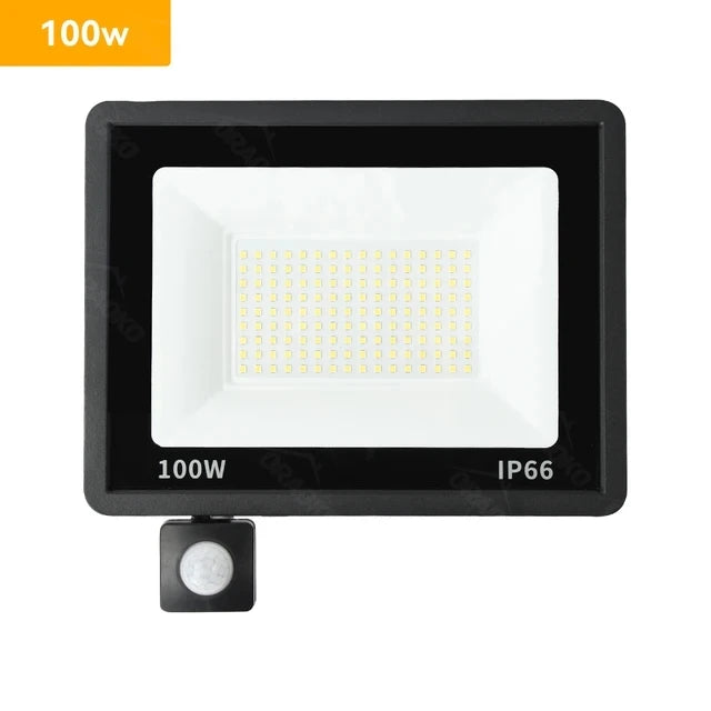 Outdoor LED floodlight, waterproof LED spotlight, 220V, 10W, 20W, 30W, 50W, 100W garden light with motion sensor, street light