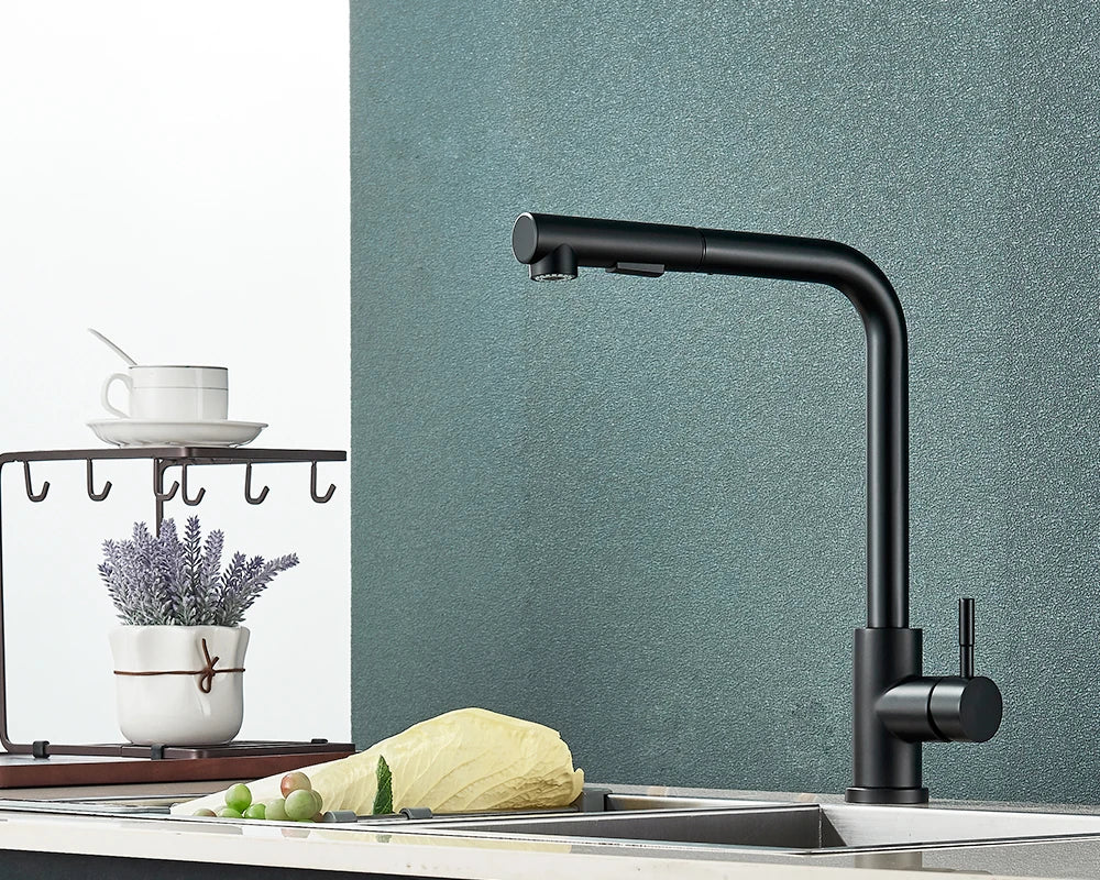Évier de cuisine flexible à nervures noires, 2 modes, flux et buse de pulvérisateur, acier inoxydable, eau chaude et froide, pont de robinet de centre commercial