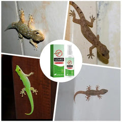 Répulsif pour rongeurs d'intérieur, 50ml, répulsif pour lézards, huile de lavande, Spray Gecko, puissant, dissuasion des reptiles, répulsif sûr pour animaux de compagnie
