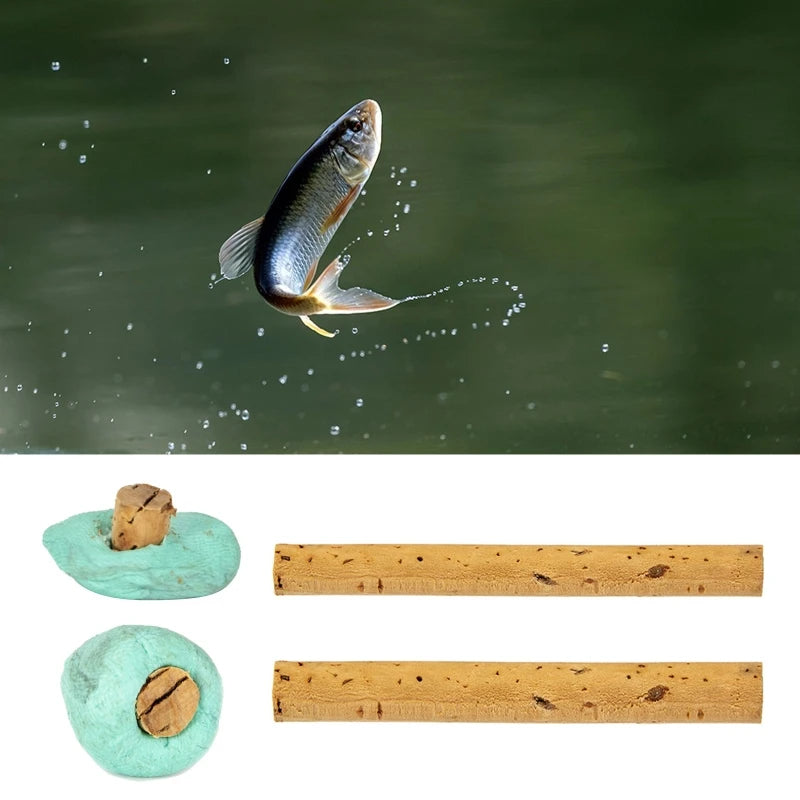 Bâtons flottants pour appâts à carpe, en bois liège, pour leurres granulaires, 10 pièces