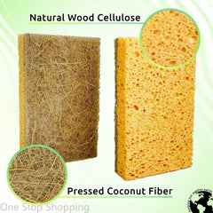 Paquet de 10 éponges naturelles biodégradables éponges de cuisine écologiques pour une vie durable éponge à vaisselle biodégradable à base de plantes