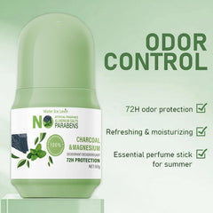 Bâton déodorant naturel Water Ice Levin – Protection 72H, charbon de bois et magnésium, sans aluminium.