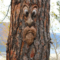 Décor de jardin enchanteur en résine avec visage d'arbre, matériaux de décoration, application multi-scènes, fantôme d'écorce, ornement de visage