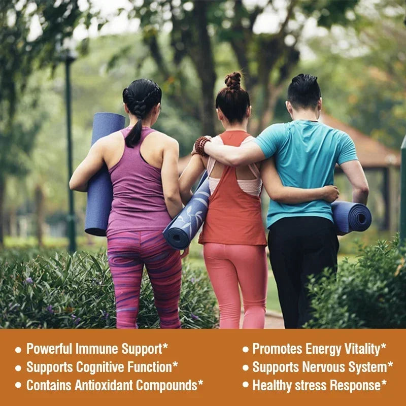 Capsules complexes de champignons - Cordyceps Reishi, immunité, stress, énergie, clarté mentale et soutien de la concentration - Supplément cérébral
