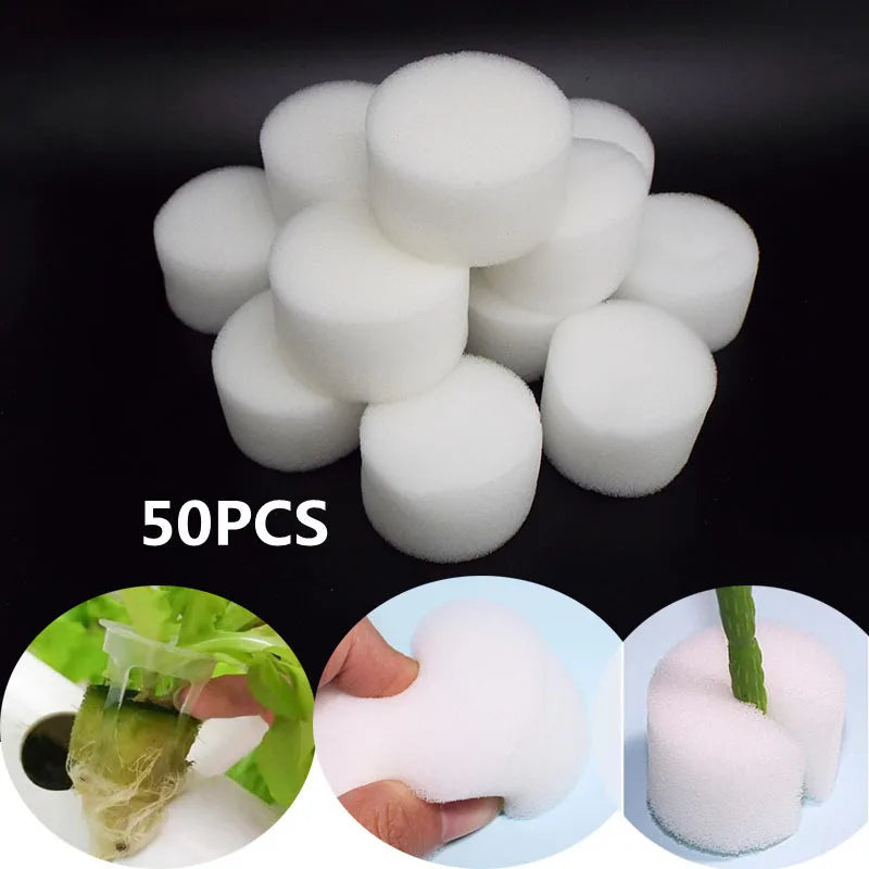 Éponge blanche pour paniers hydroponiques, 50 pièces, pour plantation de légumes de jardin, Pots de pépinière, plantes en mousse, racine K5