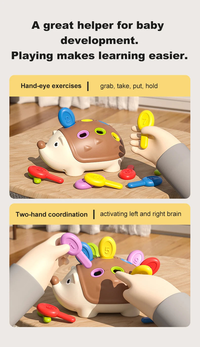 Jouets Montessori pour tout-petits, jouets sensoriels et motricité Fine pour enfants âgés de 18 mois, activités d'apprentissage, jeux éducatifs de hérisson