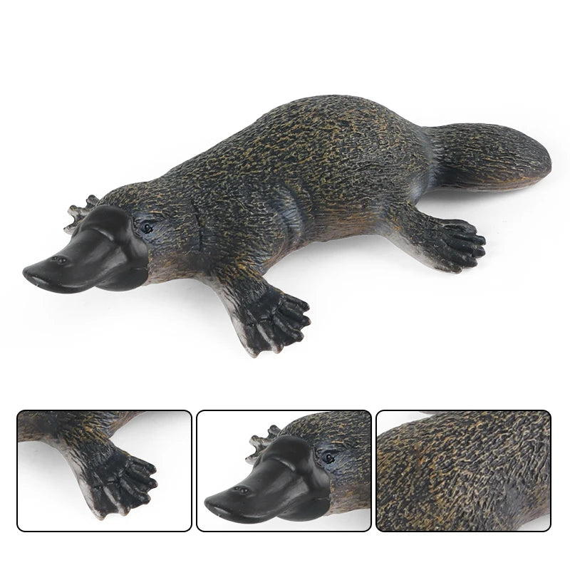 Classic Australian Wild Animals Kangaroos Koala Platypus Tasmanian Devil Echidna Cassowary Model Figurine Toy Child Gift