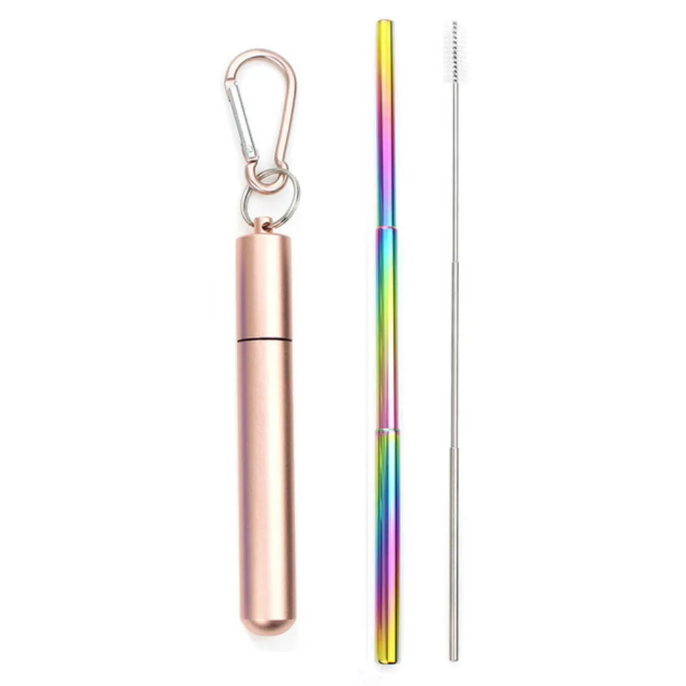 Paille Télescopique Réutilisable en Acier Inoxydable 304, Paille D.lique avec Brosse pour Livres, Ensemble de Pailles à Boire Portables pour Voyage avec Étui