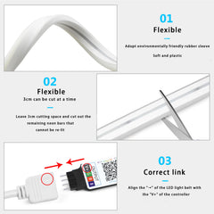 5V USB RGB néon LED bande Bluetooth App avec télécommande étanche néon bande RGB bande pour la décoration de la pièce à la maison éclairage