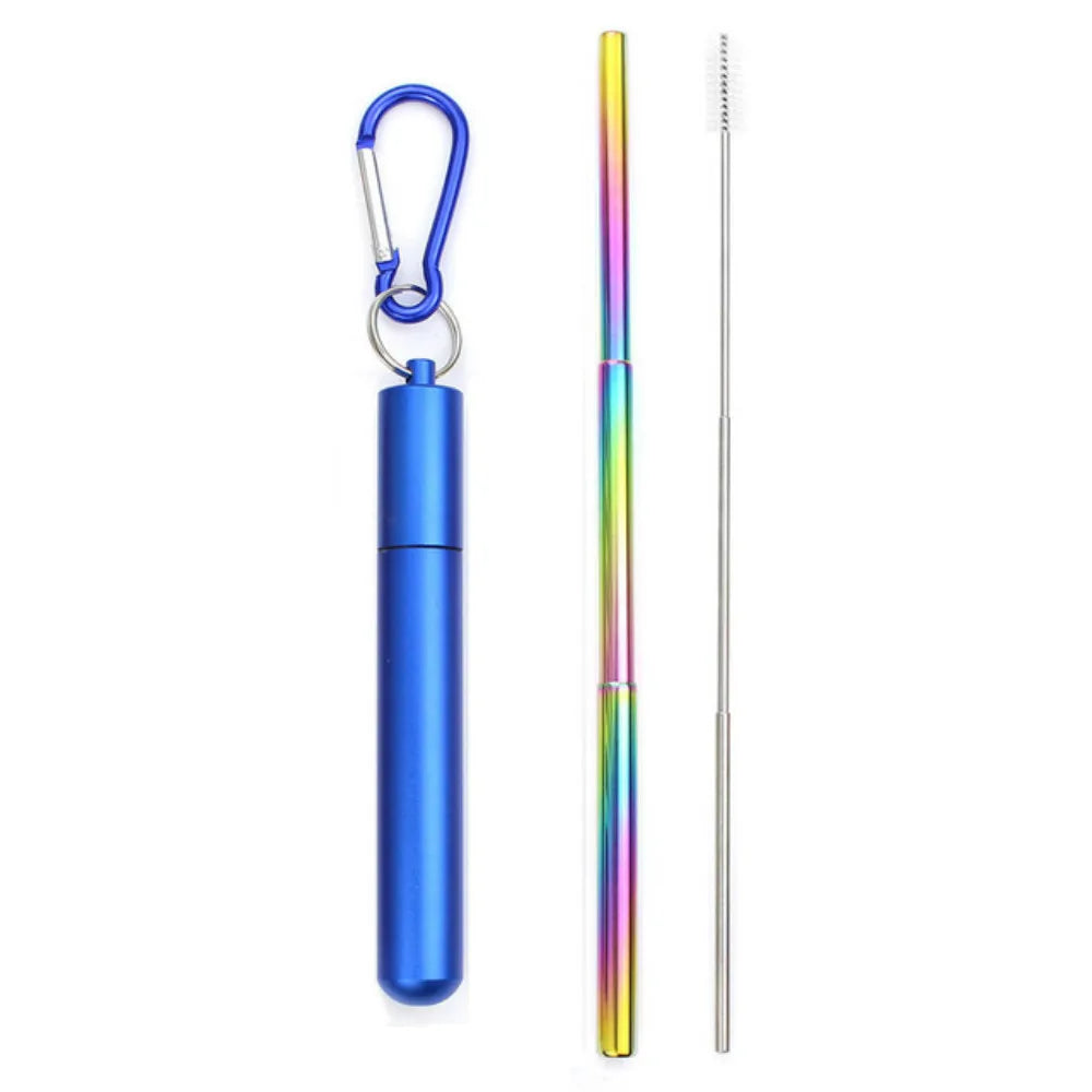 Paille Télescopique Réutilisable en Acier Inoxydable 304, Paille D.lique avec Brosse pour Livres, Ensemble de Pailles à Boire Portables pour Voyage avec Étui