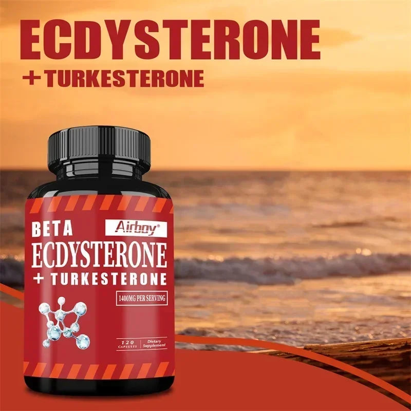 Suppléments Beta Ecdysterone et Turkesterone – Améliore l'endurance des exercices, augmente la masse musculaire et la masse musculaire magre