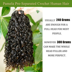 Crochet cheveux humains sans noeud pré-séparés Extensions de cheveux au Crochet Extensions de cheveux de plumes crépus birmans bouclés 100% cheveux humains