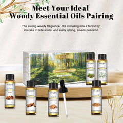 EUQEE – ensemble d'huiles essentielles série Woody, 6 bouteilles, pour aromathérapie, œucalyptus, cèdre, bois de santal, encens, cannelle, myrrh
