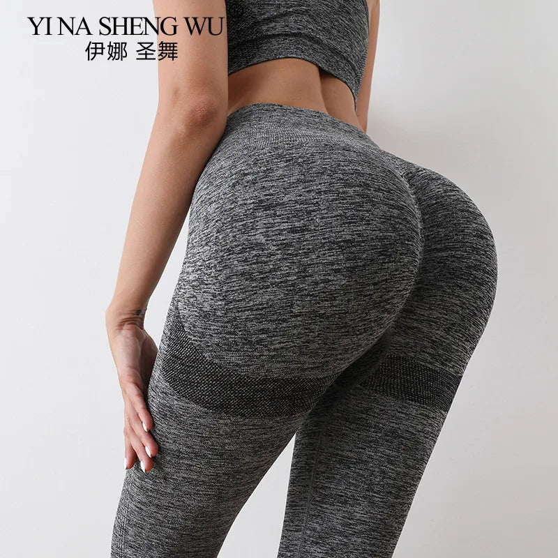 Ensemble de Yoga Shorts de gymnastique femmes Sport soutiens-gorge brassière Shorts d'entraînement pour femmes vêtements de Yoga Fitness Leggings ensemble de gymnastique soutien-gorge de Yoga sans couture