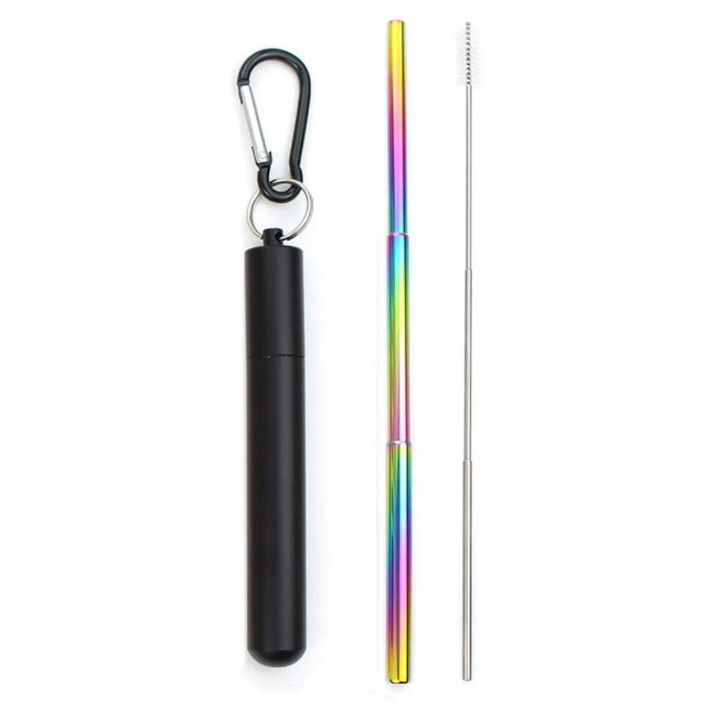 Paille Télescopique Réutilisable en Acier Inoxydable 304, Paille D.lique avec Brosse pour Livres, Ensemble de Pailles à Boire Portables pour Voyage avec Étui