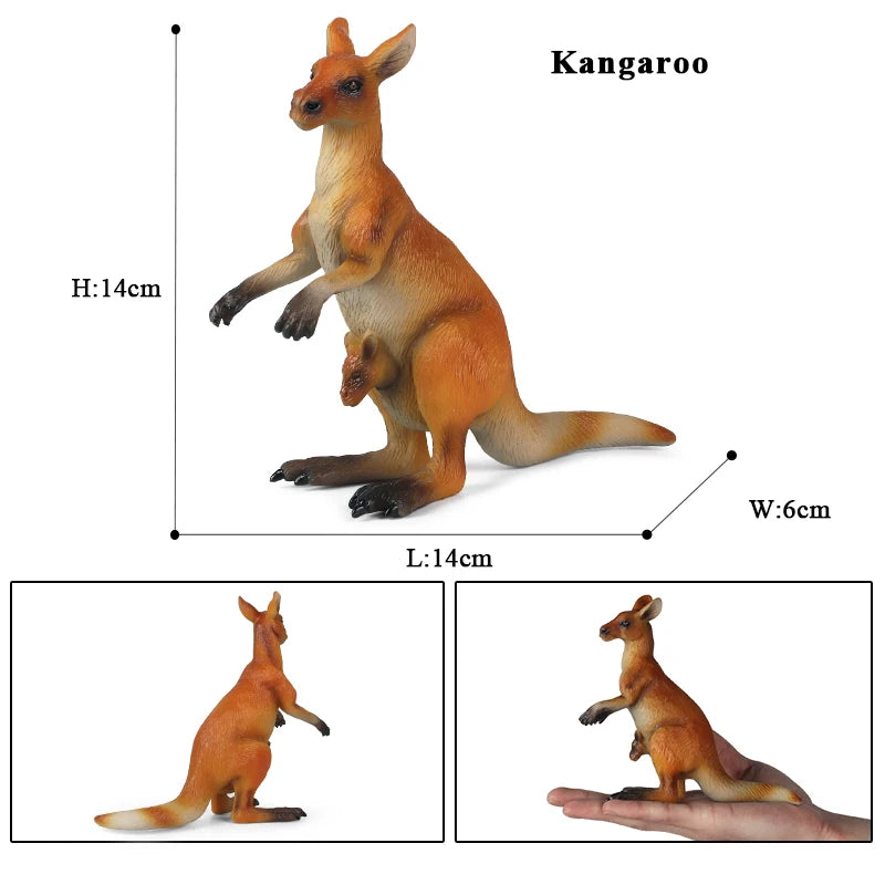 Classic Australian Wild Animals Kangaroos Koala Platypus Tasmanian Devil Echidna Cassowary Model Figurine Toy Child Gift