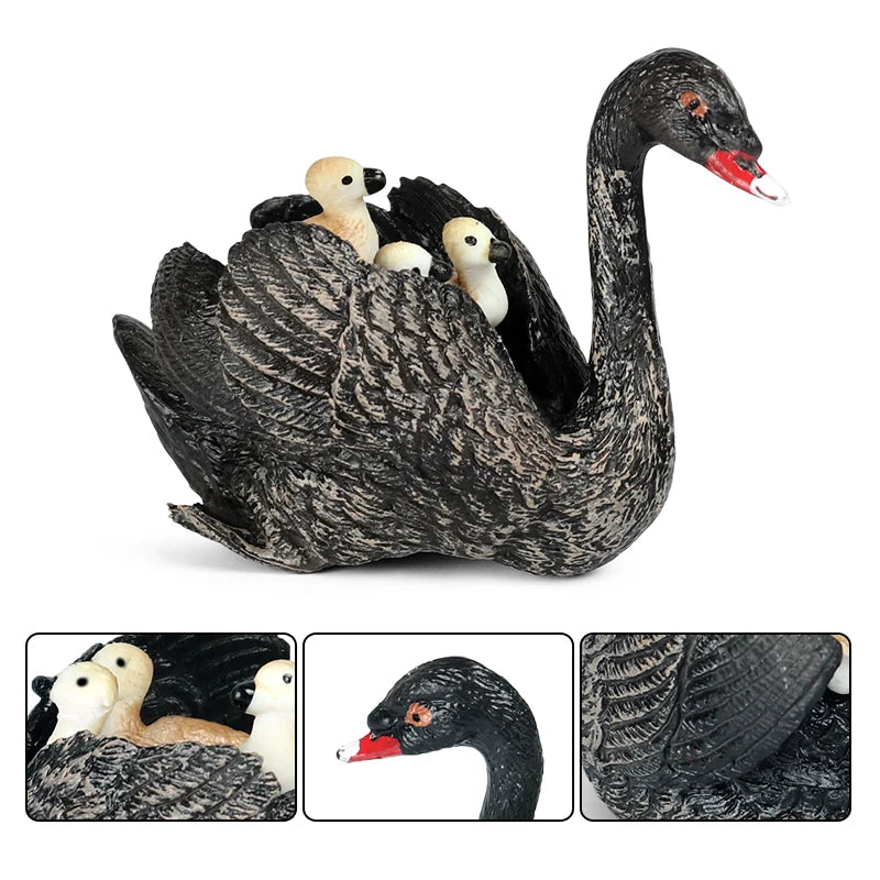 Classic Australian Wild Animals Kangaroos Koala Platypus Tasmanian Devil Echidna Cassowary Model Figurine Toy Child Gift