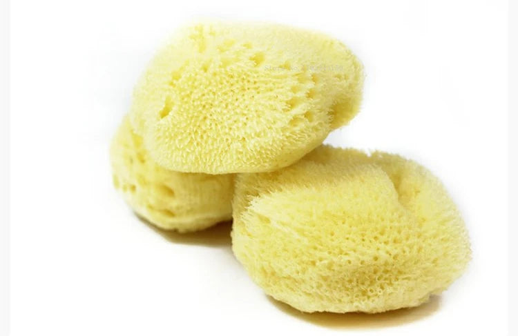 Peinture à l'aquarelle en éponge grecque naturelle, avec éponge absorbante, stylo d'essuyage, outil de nettoyage de Production de Texture spéciale