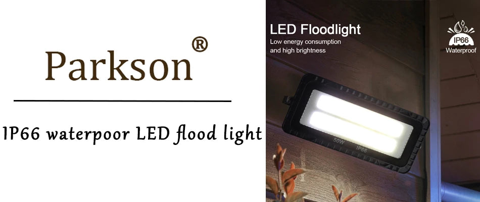 Projecteur LED extérieur 50W 100W 150W 220V projecteur étanche intérieur LED Spot extérieur lampadaires paysage projecteur