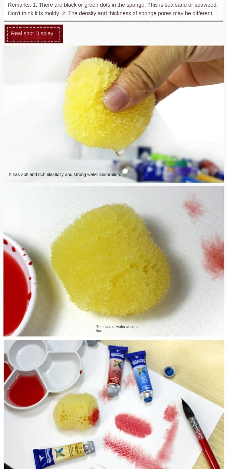 Peinture à l'aquarelle en éponge grecque naturelle, avec éponge absorbante, stylo d'essuyage, outil de nettoyage de Production de Texture spéciale
