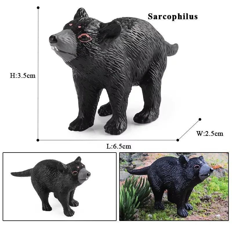 Classic Australian Wild Animals Kangaroos Koala Platypus Tasmanian Devil Echidna Cassowary Model Figurine Toy Child Gift