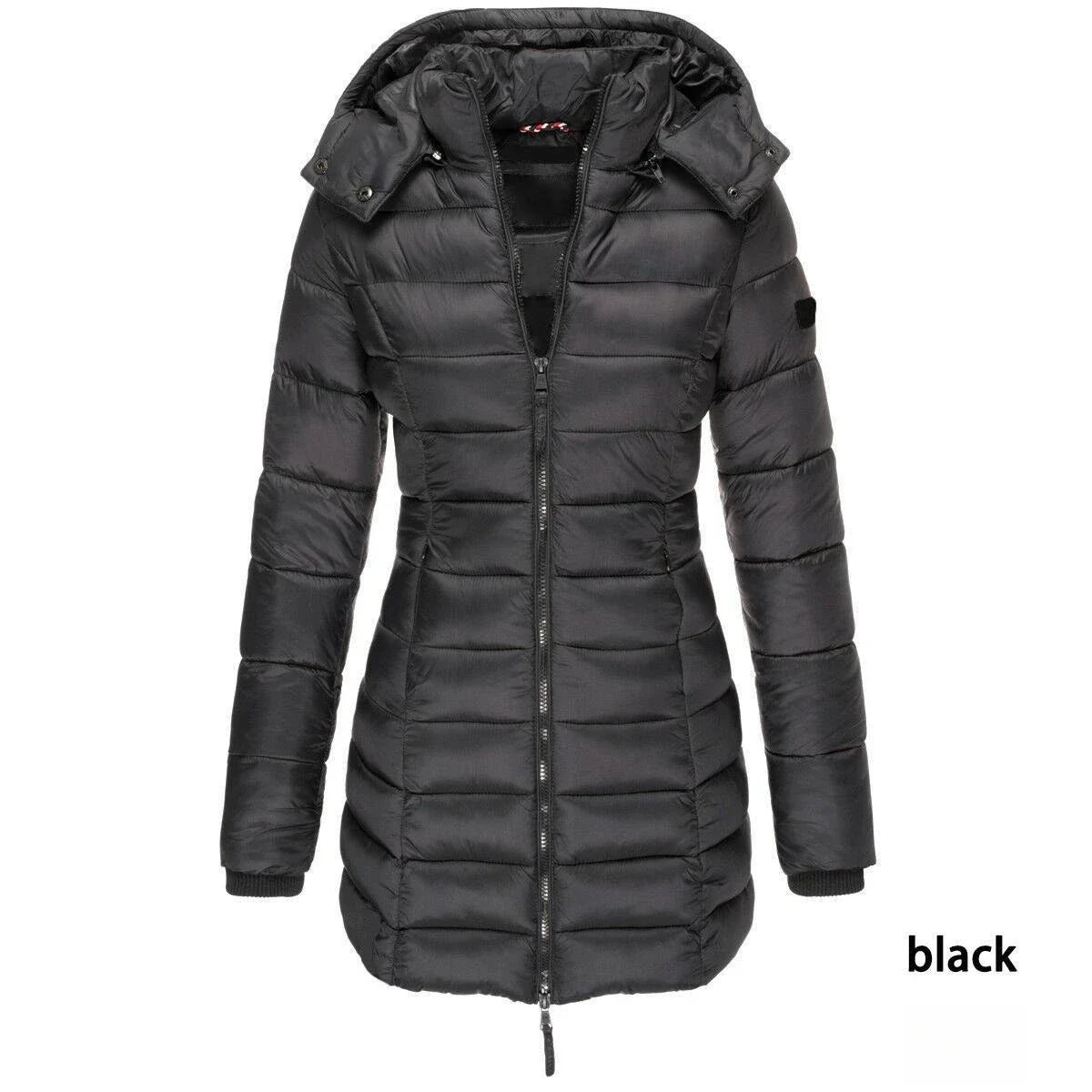 Veste d'hiver en coton pour femme, couleur unie, coupe ajustée, chaude, solide, à capuche, vêtements pour femmes, nouvelle collection