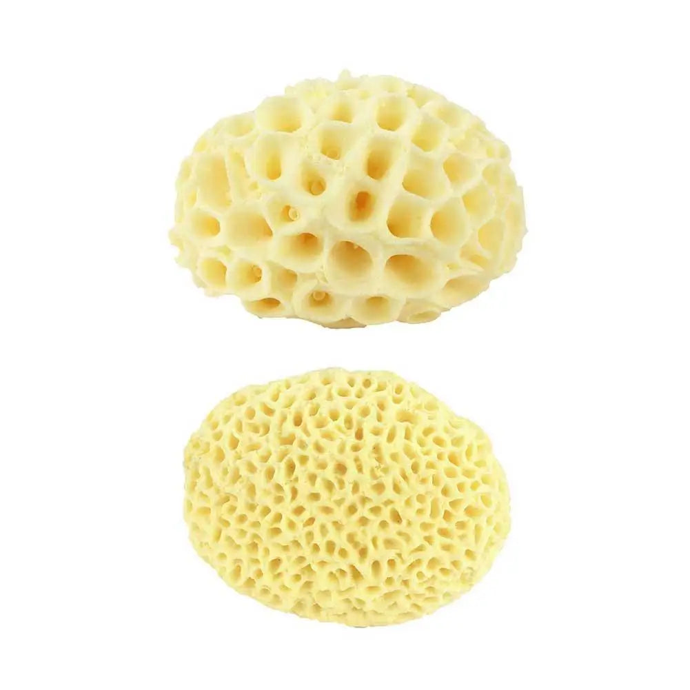 Natural Sea Wool Sponge, Replacement Frequency, Skin Remover, Books, Foam, Washing, Ohio, Pouf, Shower, Extension, Body