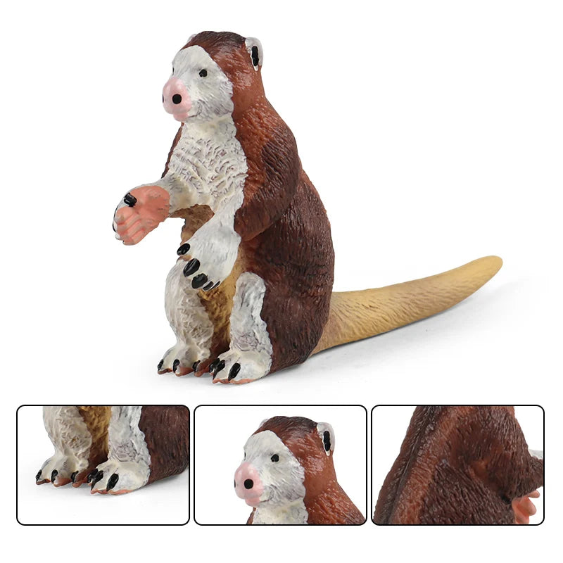 Classic Australian Wild Animals Kangaroos Koala Platypus Tasmanian Devil Echidna Cassowary Model Figurine Toy Child Gift