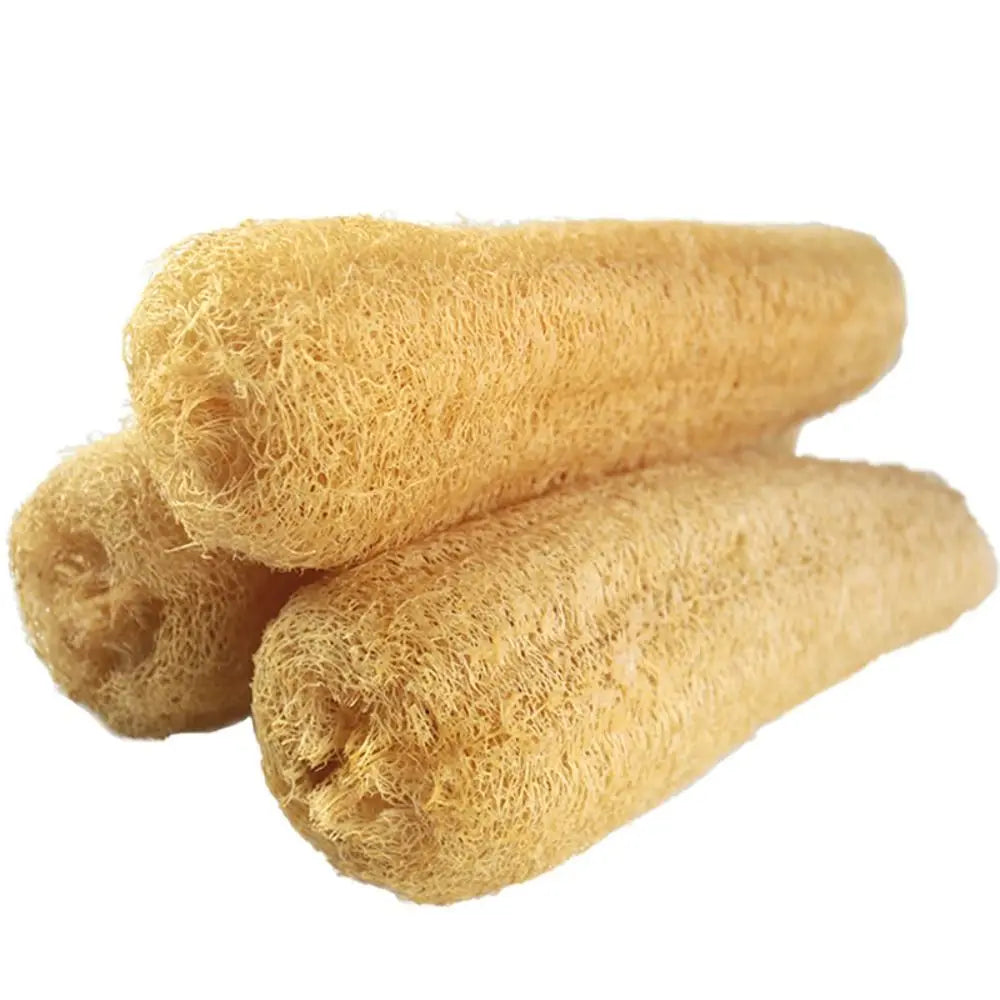 Éponge Luffa naturelle antiarina, bonne absorption, torchons de bain, éponge de douche Linge, plantation de pingouin long, luffa logique, cuisine
