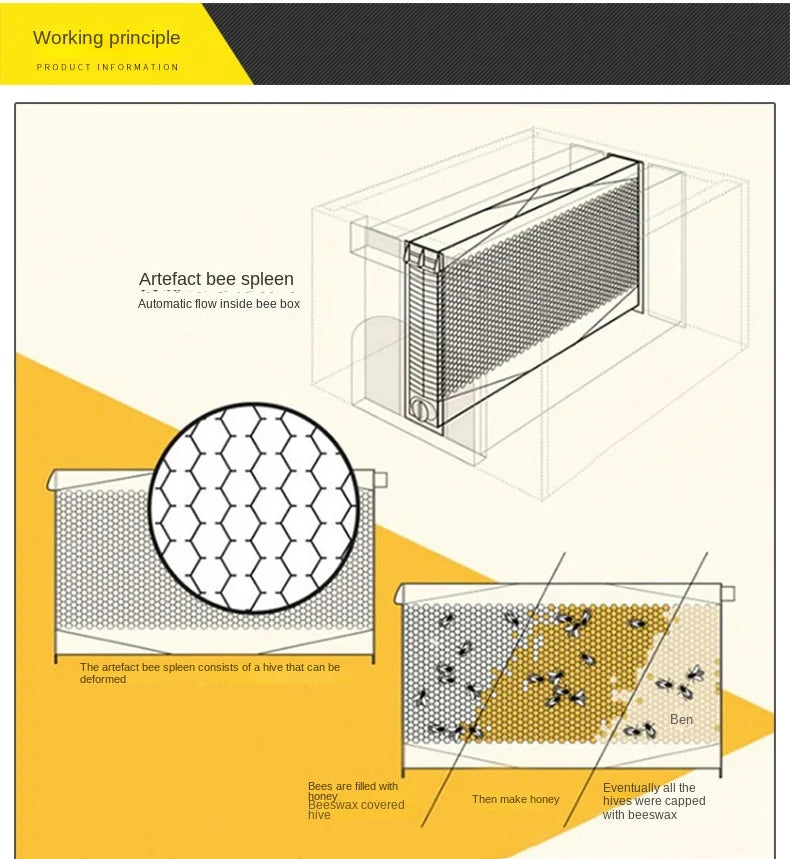 Dispositif de Flux existent de Miel pour Ruche d'Apiculture, Ensemble Complet d'Outils d'Apiculture, Nouveauté