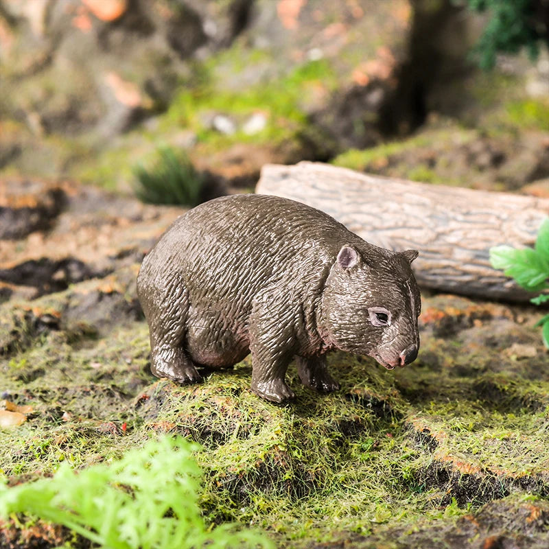 Classic Australian Wild Animals Kangaroos Koala Platypus Tasmanian Devil Echidna Cassowary Model Figurine Toy Child Gift