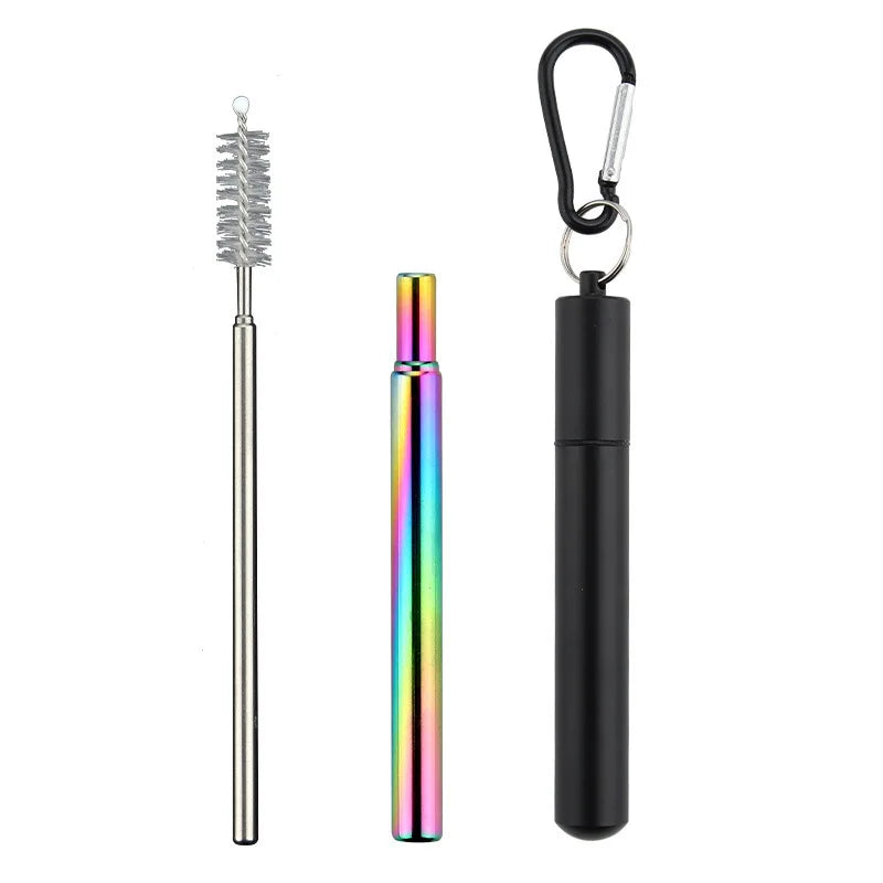 Paille Télescopique Réutilisable en Acier Inoxydable 304, Paille D.lique avec Brosse pour Livres, Ensemble de Pailles à Boire Portables pour Voyage avec Étui