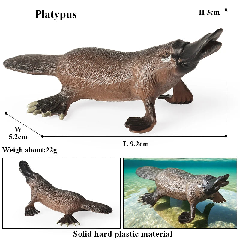 Classic Australian Wild Animals Kangaroos Koala Platypus Tasmanian Devil Echidna Cassowary Model Figurine Toy Child Gift