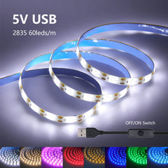 Bande lumineuse Led USB 5V SMD 2835, 60 diodes/m, ruban Flexible, éclairage de fond TV, 1M 2M 3M 5M, guirlande lumineuse LED, décoration de salle