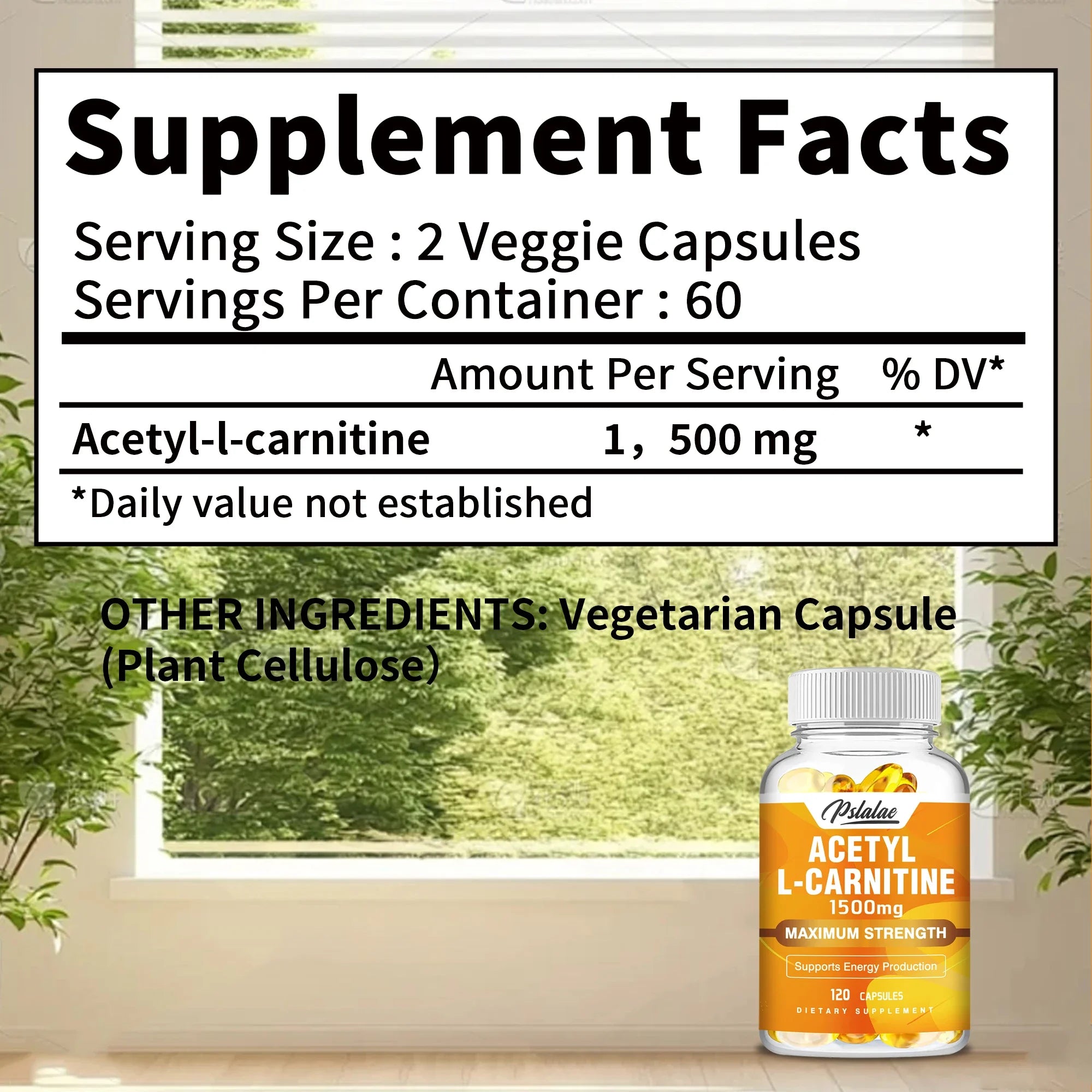 Acétyl L-carnitine - Supporte la concentration mémoire, augmente les performances du corps, la nutrition sportive, l'énergie métabolique - 120 capsules