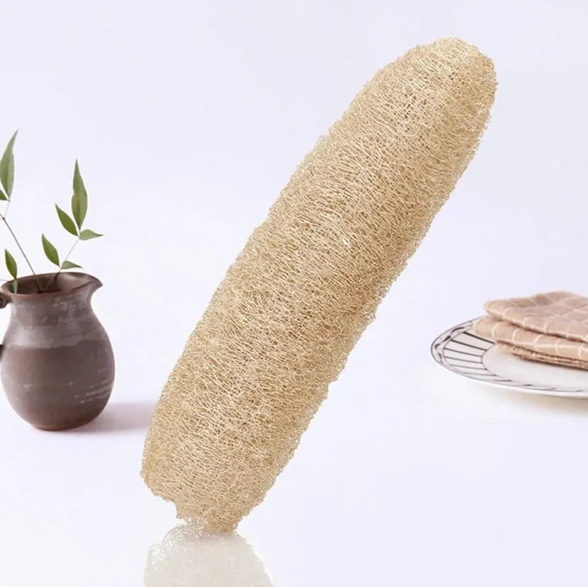 Éponge Loofah Luffa naturelle, biodégradable, forte, nettoyage, longue, antiadhésive, artefact de vaisselle, Pot, brosse, serviettes de vaisselle