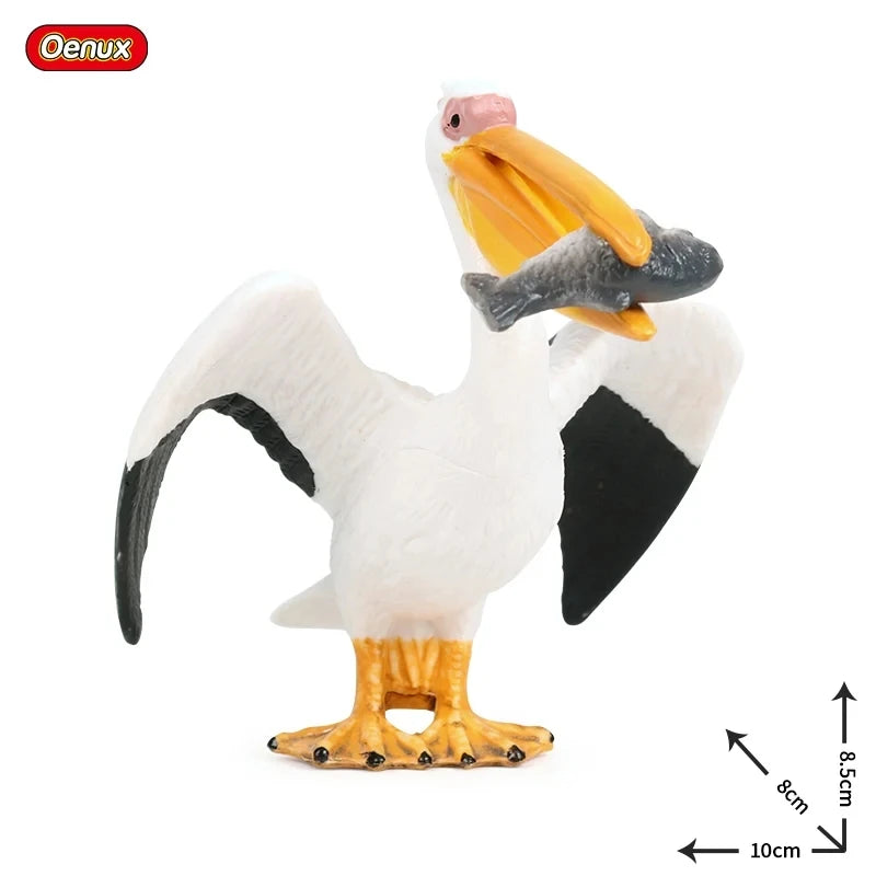 Classic Australian Wild Animals Kangaroos Koala Platypus Tasmanian Devil Echidna Cassowary Model Figurine Toy Child Gift
