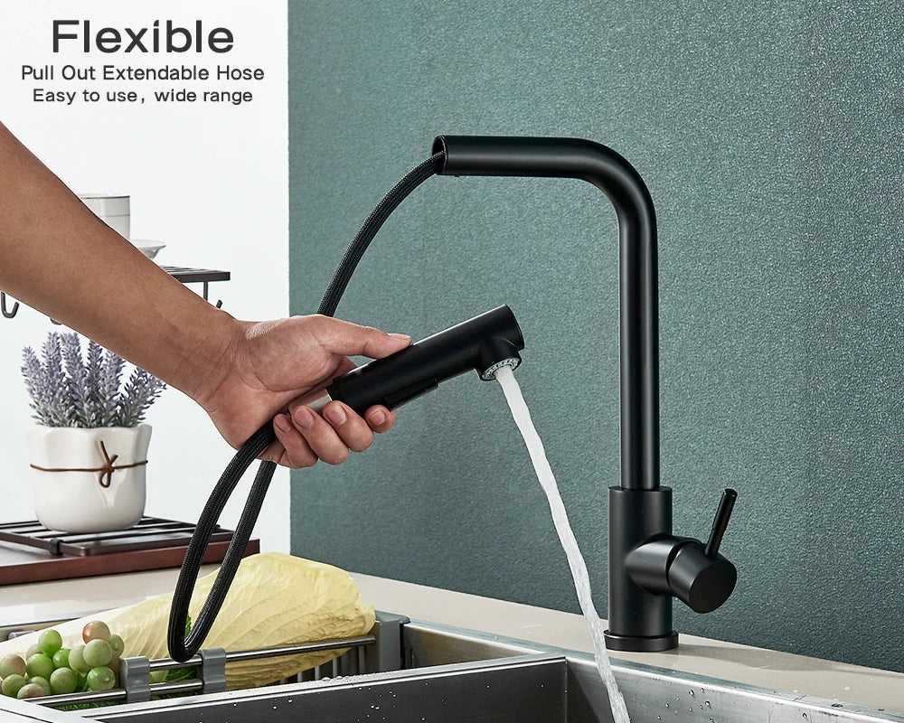 Évier de cuisine flexible à nervures noires, 2 modes, flux et buse de pulvérisateur, acier inoxydable, eau chaude et froide, pont de robinet de centre commercial