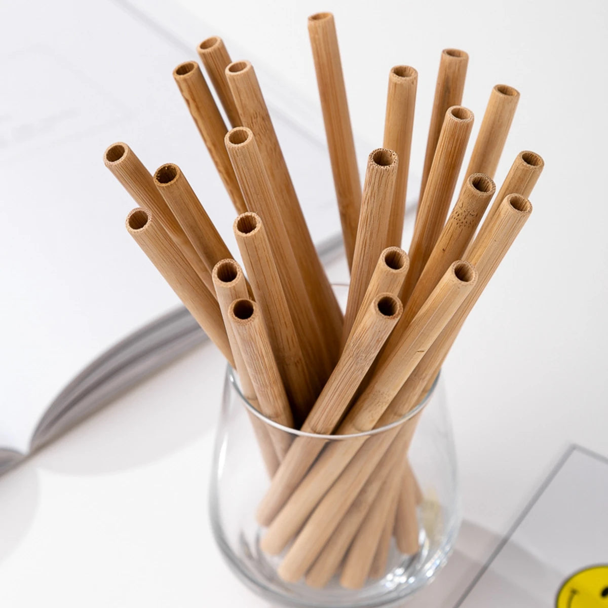 Pailles à boire en bambou naturel réutilisables avec étui, bionickel ables, écologiques, pour cocktail, bar, boissons, 10 pièces