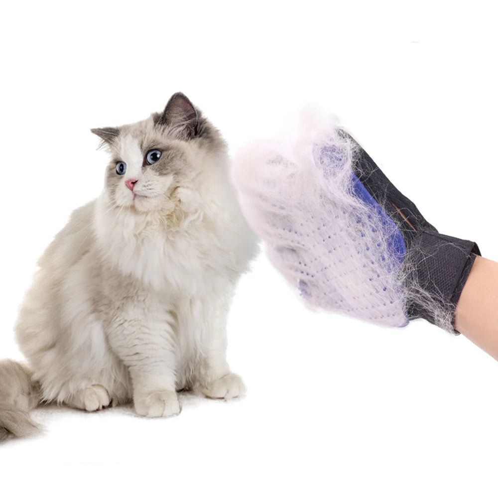 Gant de toilettage pour animaux de compagnie, gant de toilettage pour poils de chat, brosse de démêlage, peigne pour chien, bain, épilateur, brosse de Massage propre pour animaux