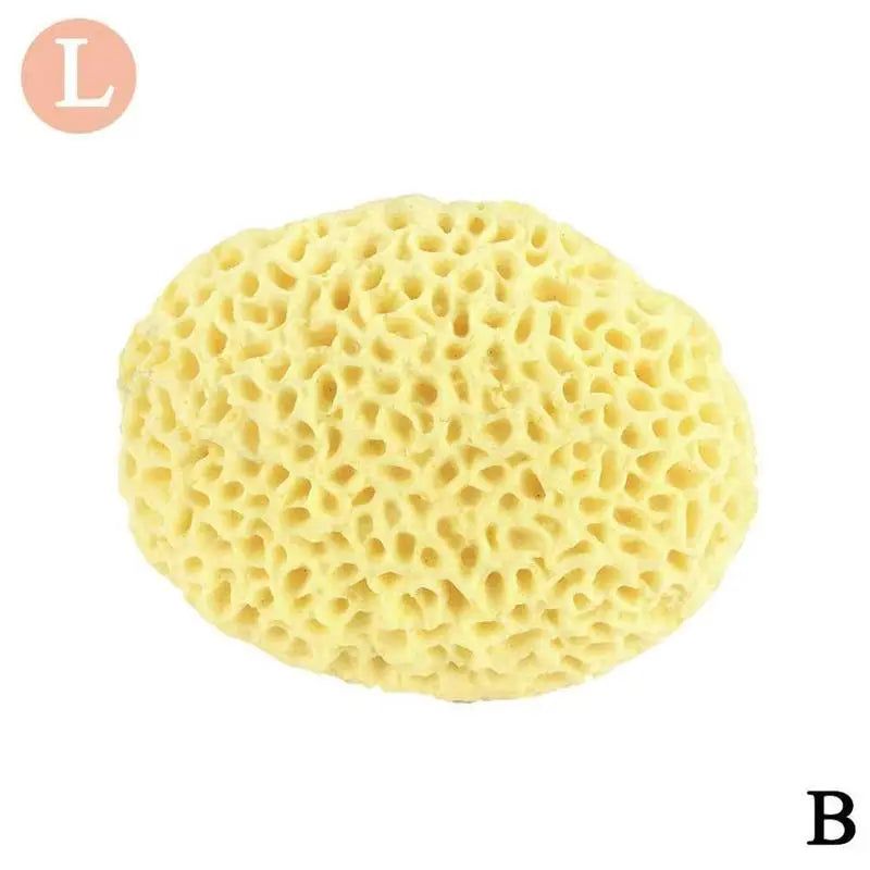 Natural Sea Wool Sponge, Replacement Frequency, Skin Remover, Books, Foam, Washing, Ohio, Pouf, Shower, Extension, Body