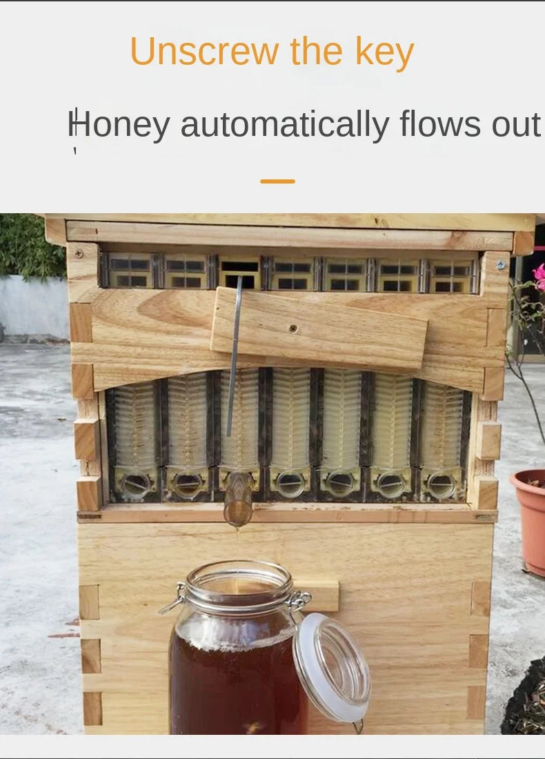 Dispositif de Flux existent de Miel pour Ruche d'Apiculture, Ensemble Complet d'Outils d'Apiculture, Nouveauté
