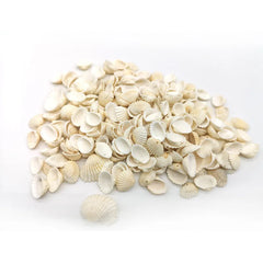 100 pièces 15MM coquille naturelle conque matériel avec trou collier Bracelet boucle d'oreille pendentif accessoires bricolage artisanat fournitures décorer