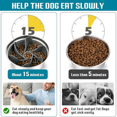 Mangeoire pour animaux de compagnie, ventouse puissante, bol Anti-étouffement pour aliments lente, pratique, facile à nettoyer, temps d'alimentation étendu pour chiens, fournitures pour animaux de compagnie