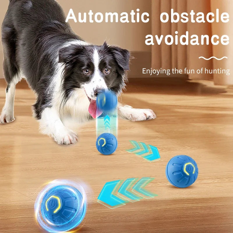 Jouet coule électronique intelligent pour animaux de compagnie, boule mobile, USB, mouvement automatique, rebondissant pour chiot, cadeau d'anniversaire, produit pour chat
