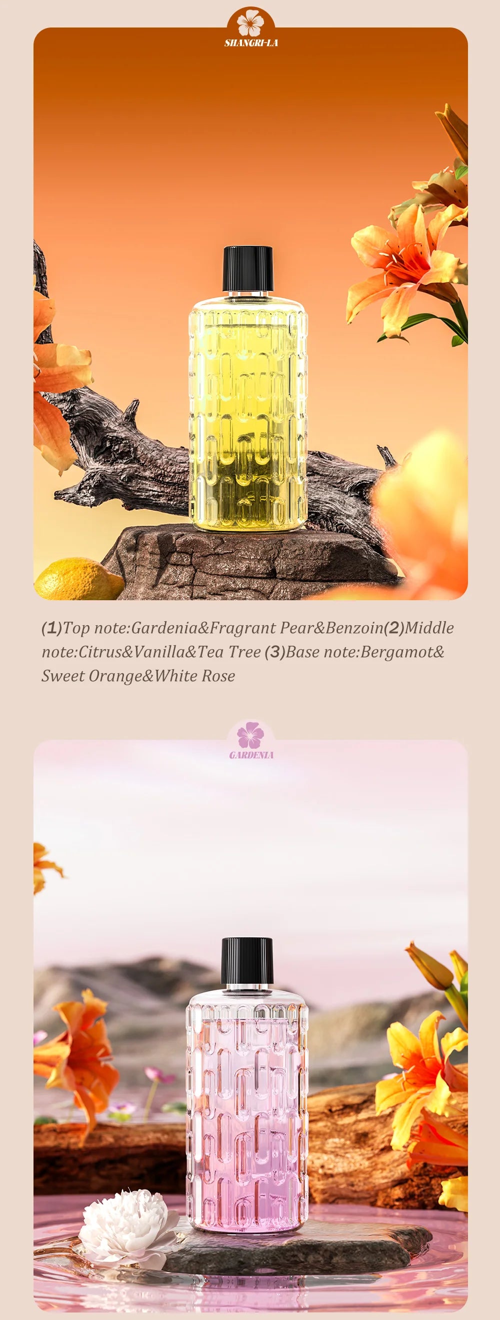 Diffuseur d'aromathérapie automatique pour éliminer les odeurs, adapté à un usage domestique, avec de l'huile essentielle pour le rafraîchissement de l'air.