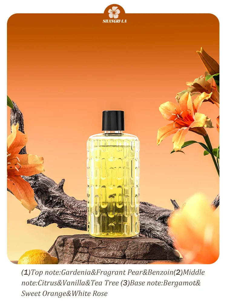 Diffuseur d'aromathérapie automatique pour éliminer les odeurs, adapté à un usage domestique, avec de l'huile essentielle pour le rafraîchissement de l'air.