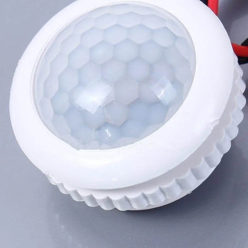 Lampe LED avec détecteur de mouvement PIR, interrupteur de vie intelligent, détection automatique, mini veilleuse sensible, 220V