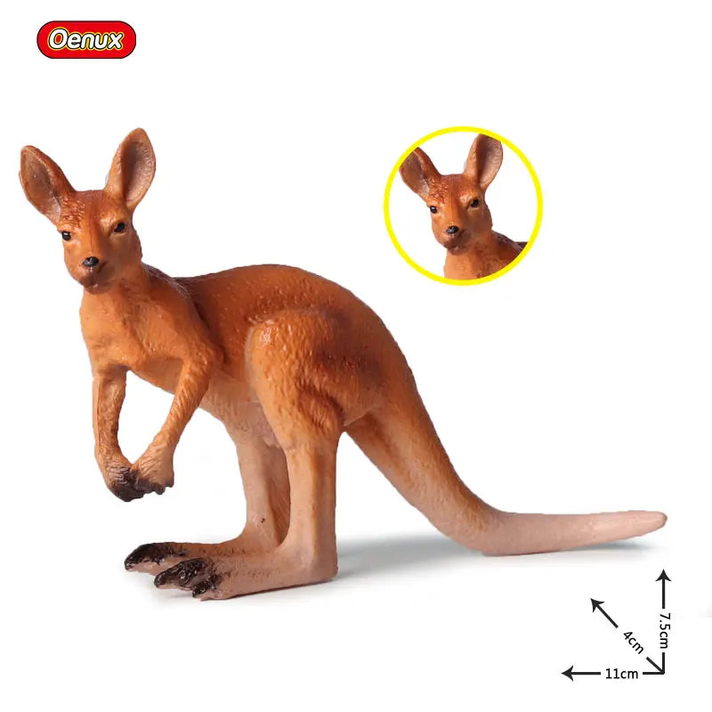 Classic Australian Wild Animals Kangaroos Koala Platypus Tasmanian Devil Echidna Cassowary Model Figurine Toy Child Gift